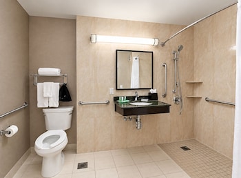 Traditional Room, 1 King Bed, Roll-in Shower