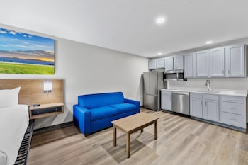 Suite, 1 King Bed with Sofa bed, Non Smoking (Efficiency)