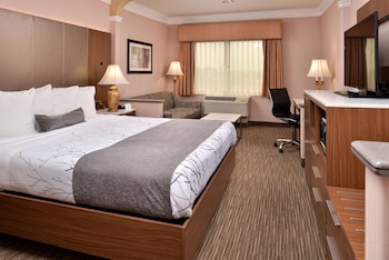 Standard Room, 1 King Bed, Accessible, Non Smoking