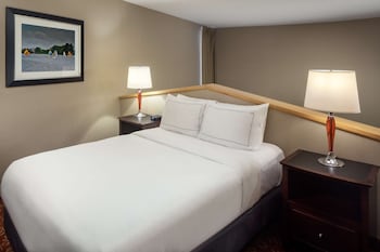 Suite, 1 King Bed