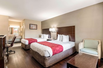 Standard Double Room, 2 Double Beds, Non Smoking