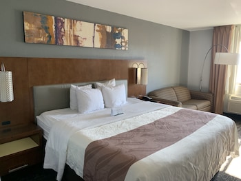Room, 1 King Bed, Non Smoking