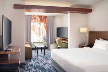 Suite, 1 King Bed with Sofa bed