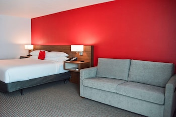 Room, 1 King Bed with Sofa bed, Accessible, Non Smoking