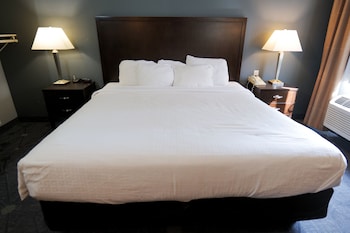 Room, 1 King Bed, Non Smoking