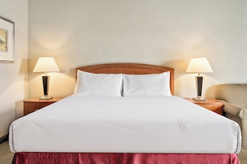 Traditional Room, 1 King Bed