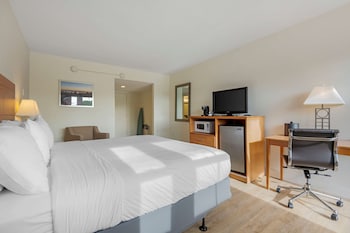 King Room (No Pets)