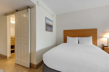 King Room (No Pets)