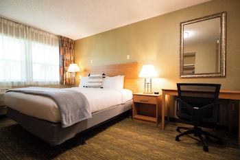 King Room (No Pets)