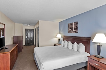 Room, 1 King Bed, Accessible, Non Smoking (Roll-In Shower)