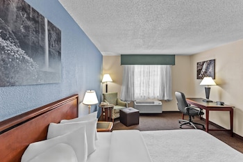 Standard Room, 1 King Bed, Non Smoking