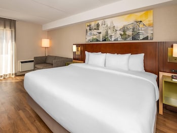 Room, 1 King Bed, Non Smoking (Pet Friendly)