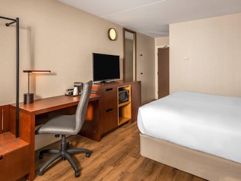 Room, 1 King Bed, Non Smoking (Pet Friendly)