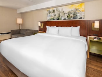 Room, 1 King Bed, Non Smoking (Pet Friendly)
