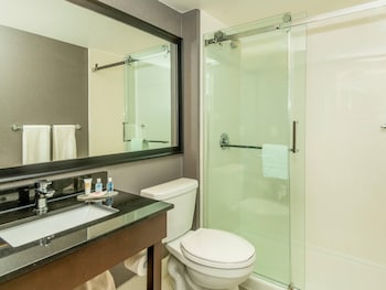 Room, 1 King Bed, Non Smoking (Pet Friendly)