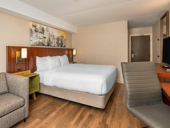 Room, 1 King Bed, Non Smoking (Pet Friendly)