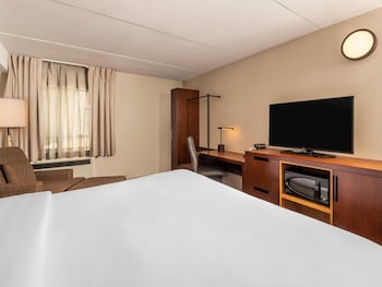 Room, 1 King Bed, Non Smoking (Pet Friendly)