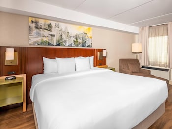 Room, 1 King Bed, Non Smoking (Pet Friendly)