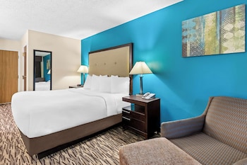 Standard Room, 1 King Bed, Non Smoking, Refrigerator & Microwave