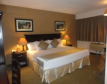 Standard Room, 1 King Bed, Smoking