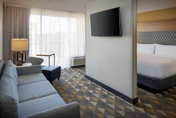 Suite, 1 King Bed with Sofa bed