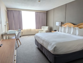 Standard Room, 1 King Bed, City View