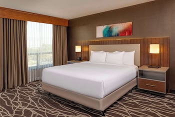 Basic Room, 1 King Bed (Parlor)