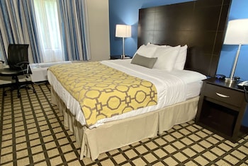 Standard Room, 1 King Bed, Non Smoking