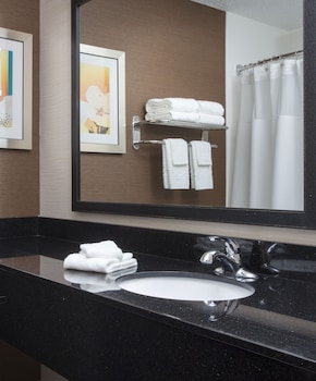 Executive Suite, 1 King Bed with Sofa bed (Mobility/Hearing Access, Transf Shwr)