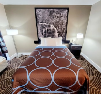 Room, 1 Queen Bed, Non Smoking