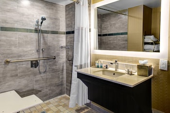 Room, 1 King Bed, Accessible (Roll-in Shower)