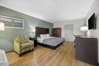 Room, 1 King Bed, Accessible, Non Smoking