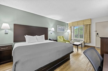 Room, 1 King Bed, Smoking