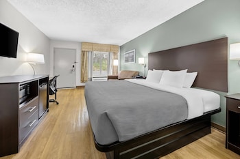 Room, 1 King Bed with Sofa bed, Non Smoking