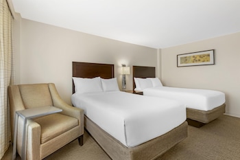 Executive Room, 2 Double Beds