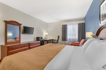 Standard Room, 1 King Bed with Sofa bed