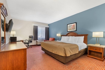 Standard Room, 1 King Bed with Sofa bed