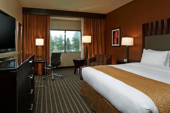 Room, 1 King Bed
