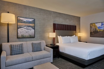 Executive Room, 1 King Bed with Sofa bed