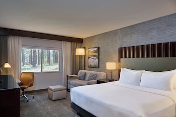 Executive Room, 1 King Bed with Sofa bed