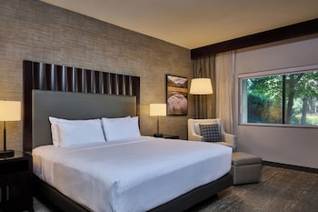 Room, 1 King Bed