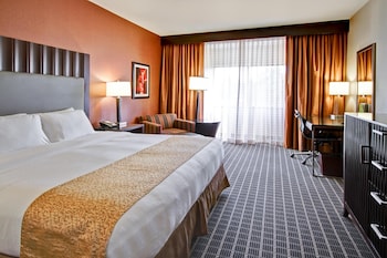 Room, 1 King Bed