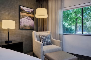 Room, 1 King Bed