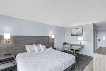 Standard Room, 1 King Bed, Non Smoking