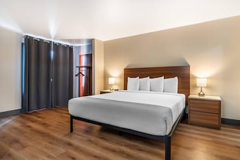 Standard Room, 1 King Bed, Non Smoking (Large Room)