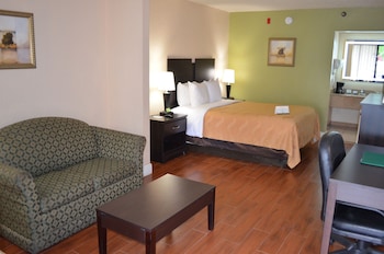 Suite, 1 King Bed with Sofa bed, Non Smoking (Upgrade)