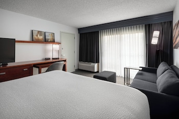 Room, 1 King Bed with Sofa bed