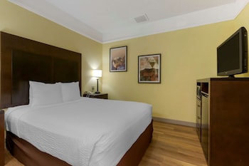 Suite, 1 Queen Bed, Non Smoking