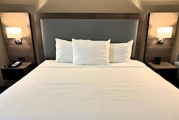 Room, 1 King Bed, Non Smoking