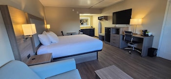 Studio Suite, 1 King Bed, Non Smoking